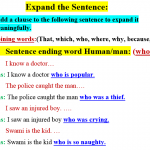 Expand the Sentence