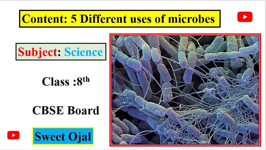 Uses of Microbes