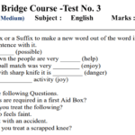 Std.8th Final Practice Test Paper No.03