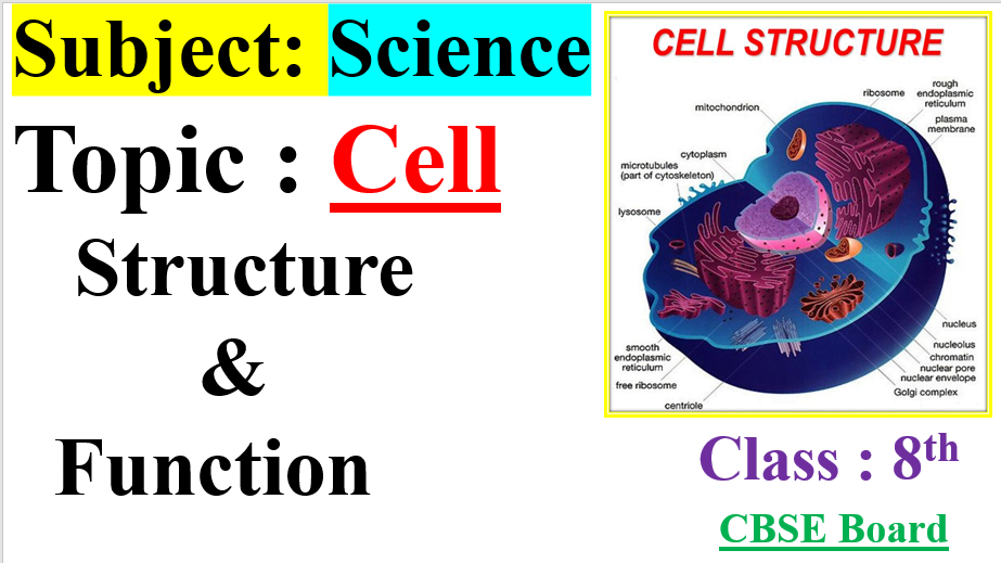 Cell : Structure & Function