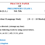Preliminary Exam Sample Practice Paper Class 10th