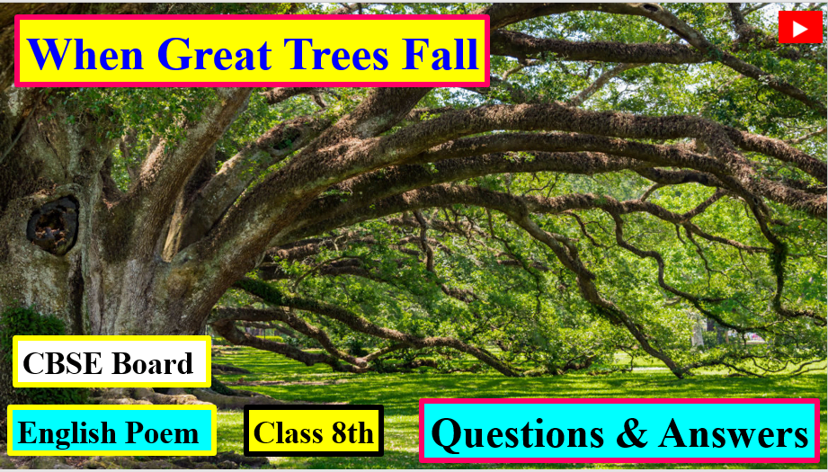 Q & A When Great Trees Fall