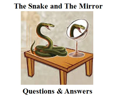 Q & A The Snake & The Mirror