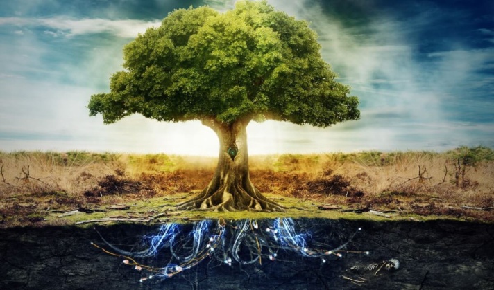 Why God “Protects” the Tree of Life | BLiTZ