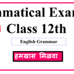 Grammatical Examples for Std. 12th