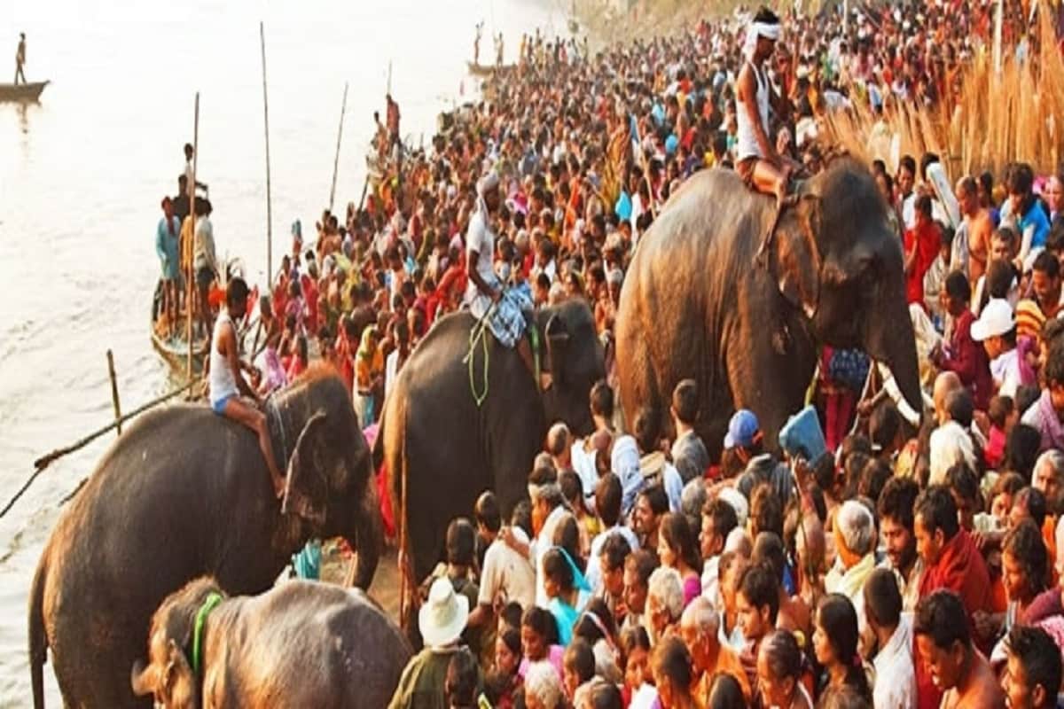 बिहार: इस बार नहीं लगेगा हरिहर क्षेत्र का विश्‍व प्रसिद्ध सोनपुर मेला,  मंत्री ने कही यह बात world famous Sonepur fair of Harihar region will not  be held brvj – News18 Hindi