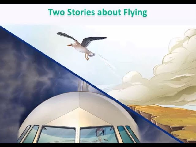 His First Flight by Liam O’Flaherty Questions & Answers