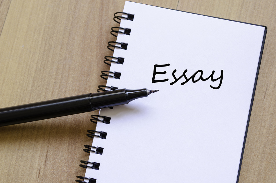 Day 10 Std.9th Bridge Course 2023-24 Write an Essay