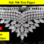 Std. 9th Test Paper 1.5 The Necklace