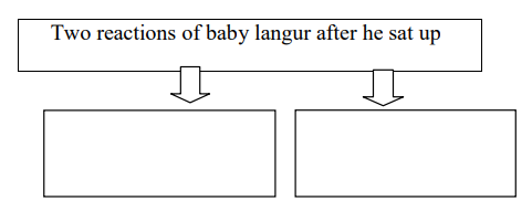 A diagram of a baby language

Description automatically generated