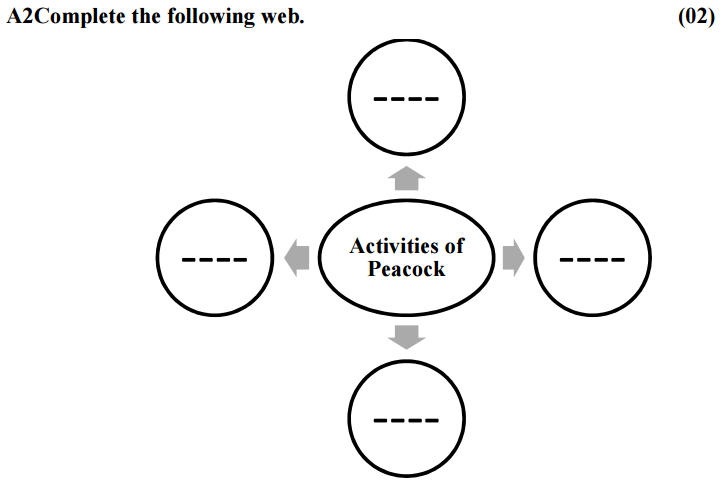 A diagram of activities of peacock

Description automatically generated