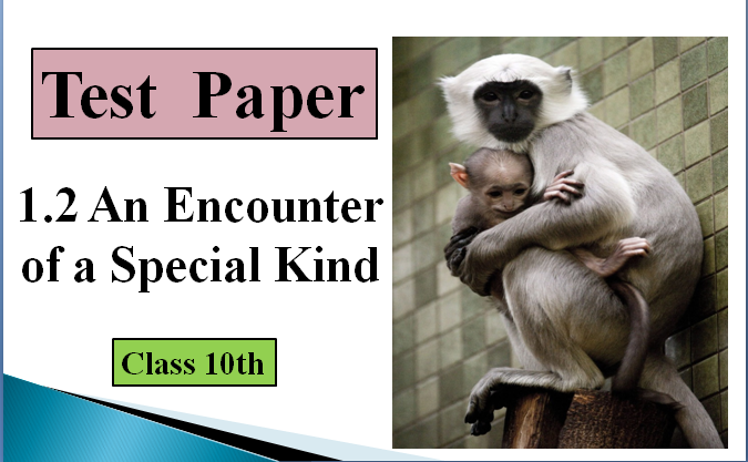 TEST PAPER ON 1.2 An Encounter of a Special Kind with Answers