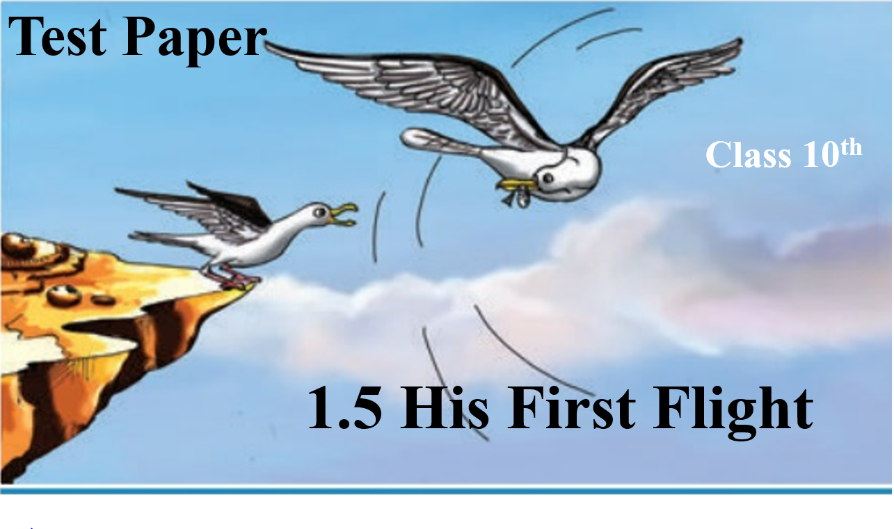 Test Paper on 1.5 His First Flight With Answers