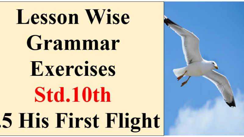 Std.10th Lesson Wise Grammar Exercises 1.5 His First Flight