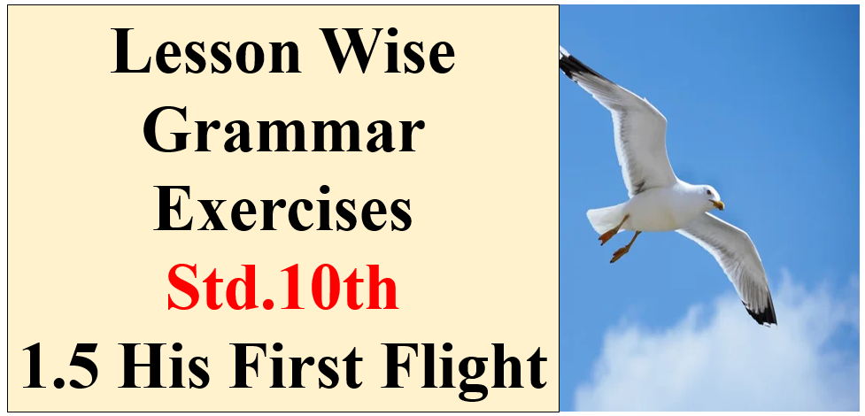 Std.10th Lesson Wise Grammar Exercises 1.5 His First Flight