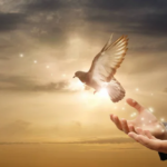 Hope is the thing with feathers Practice Test Paper 2025