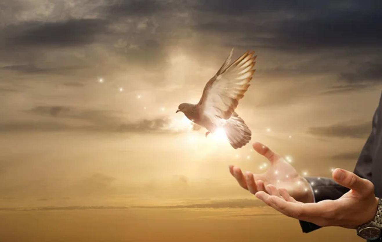 Hope is the thing with feathers Practice Test Paper 2025